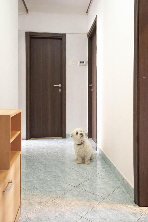 אוסילק Cosy Apartment Hugo מראה חיצוני תמונה