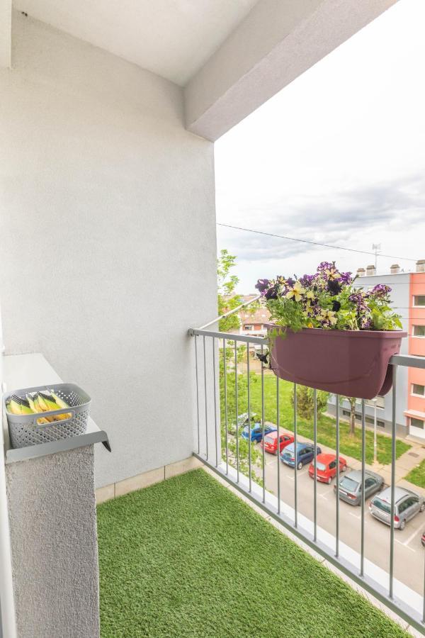 אוסילק Cosy Apartment Hugo מראה חיצוני תמונה