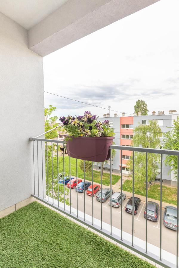 אוסילק Cosy Apartment Hugo מראה חיצוני תמונה